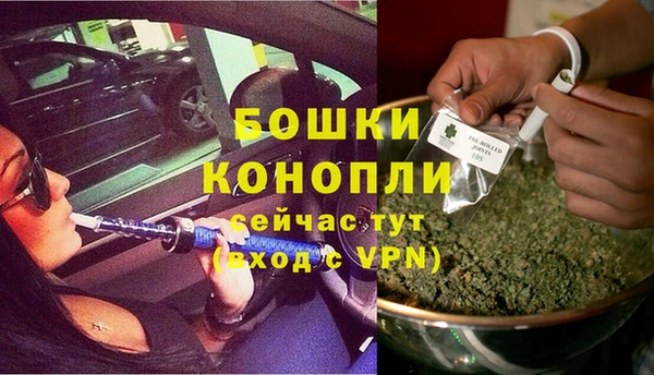 сатива Бронницы